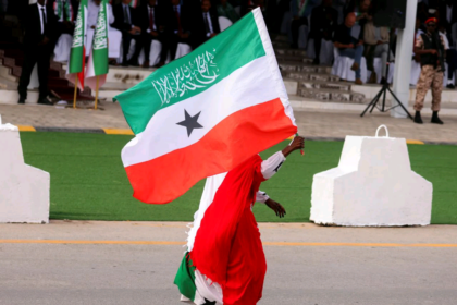 Somaliland flag