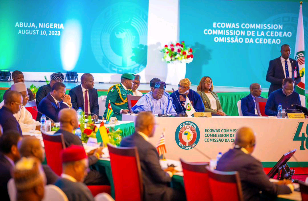 ECOWAS Declares State of Emergency Amid Coups, Mutinies in West Africa