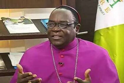 XGltYWdlc1xjb250ZW50XDMxNzIwMjU4MTE0OF9pbWdfOTU4MC5qcGVnfDUwMHwzNTB8