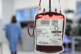 images 2025 12 08T121304.781