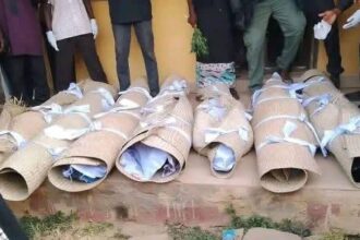 images 2025 12 11T034136.526