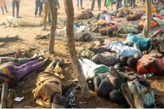 101242d5227eb20b6cf6fd31557c3104