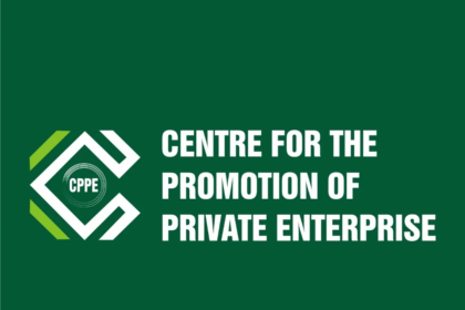 275086740 101051615867108 3800391627829955821 n