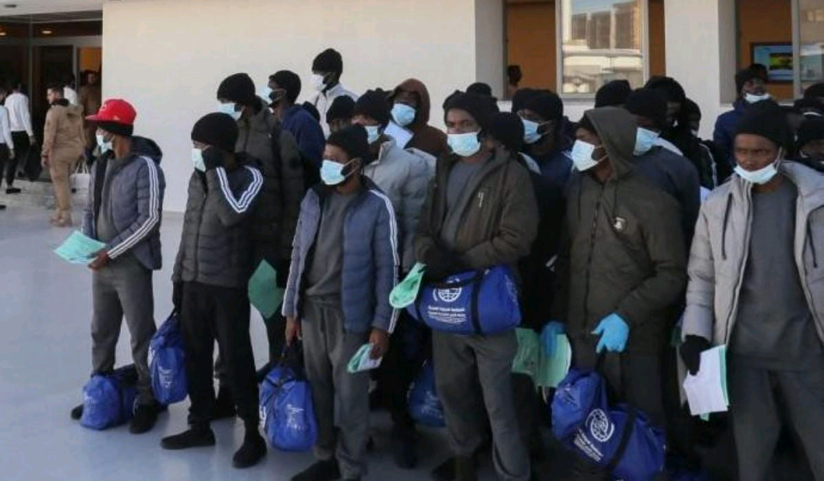 Photo of Canada Deports 366 Nigerians, 974 Await Removal