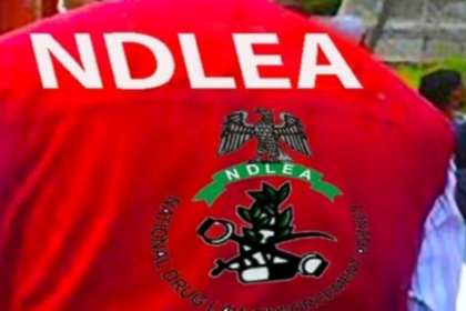 NDLEA 11
