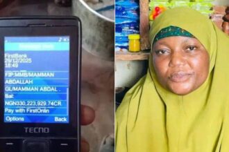 Woman return 330m in Niger