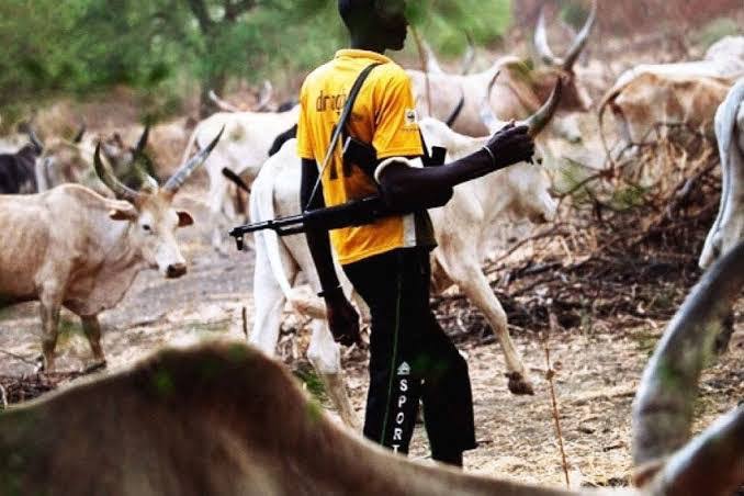 Photo of Herdsmen Kill PDP House of Assembly Candidate, Female Pastor in Benue Attack