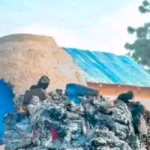 sr20file20 202026 01 31T105830.009