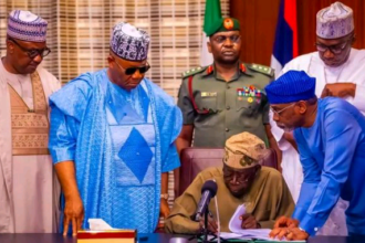 1771432224428 678x381 1