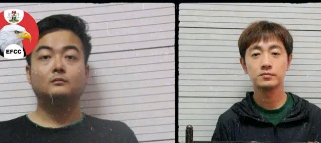 IMG 20260211 2200261