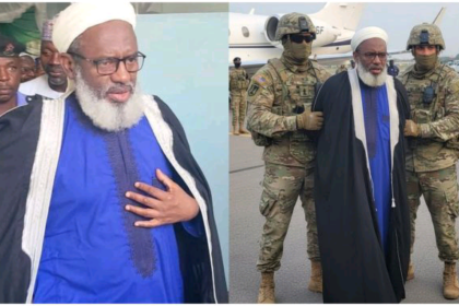 InCollage 20260205 171357950 1773x960 1 678x3811 1