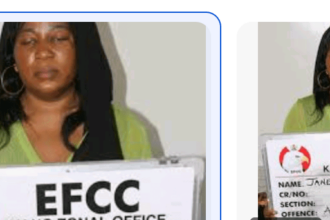 Screenshot 2026 02 19 at 12.47.02 PM