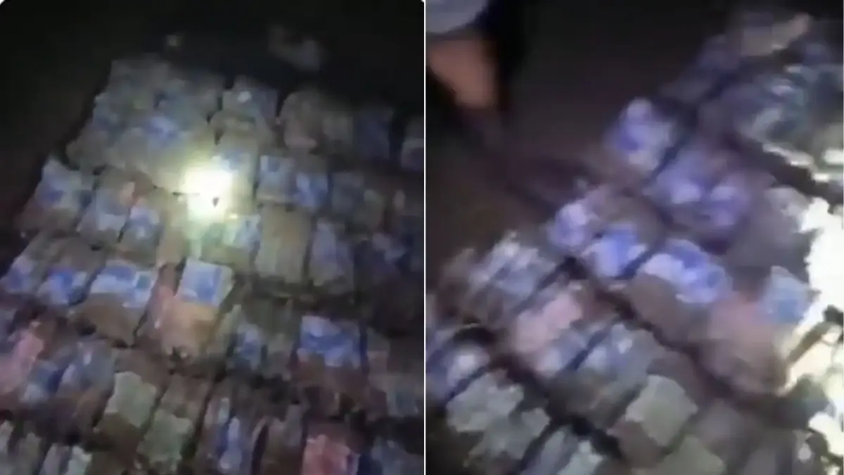 Bandits Celebrate After Receiving N103 Million Ransom From Victims