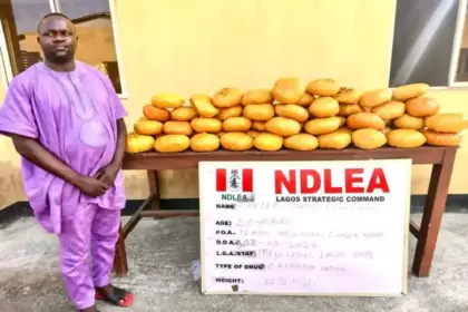 e2653aef 6646 4d08 a7fe 7f48e3fdfd92